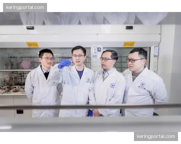 综合格斗与学术研究：剑桥大学团队利用MMA数据分析脑震荡防护